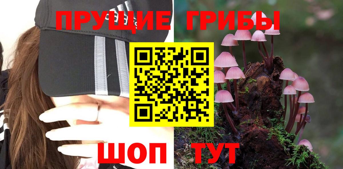 Псилоцибиновые грибы мухоморы  Псилоцибиновые грибы GOLDEN TEACHER  Вход с VPN  Егорьевск 